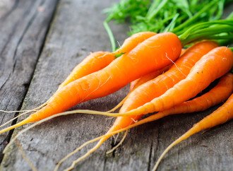 Oрганическая морковь в борьбе с сорняками