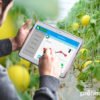 Майбутнє їжі: агротехнологічна Силіконова Долина зсередини