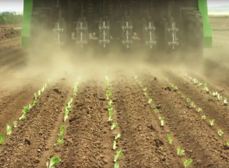 Стрічково-касетна технологія вирощування розсади